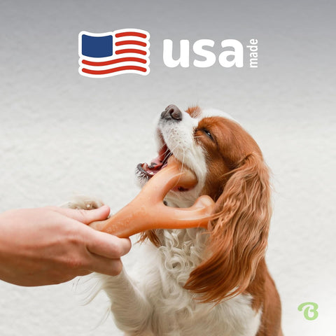 Durable Dog Chew Toy for Aggressive Chewers