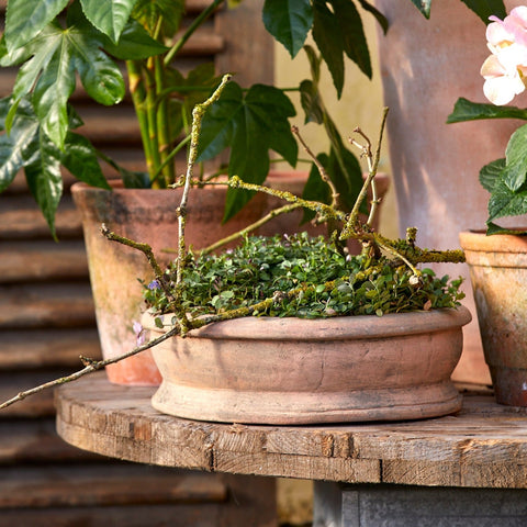 Erika Patinated Terracotta Pot