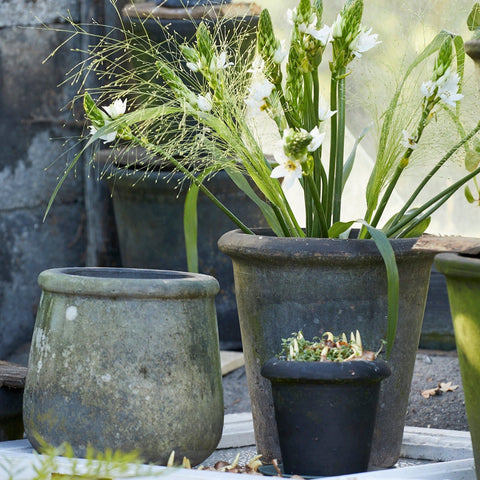 Rose Choko Patinated Terracotta Pot