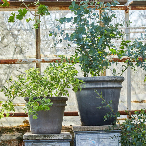 Grethe Choko Patinated Terracotta Pot