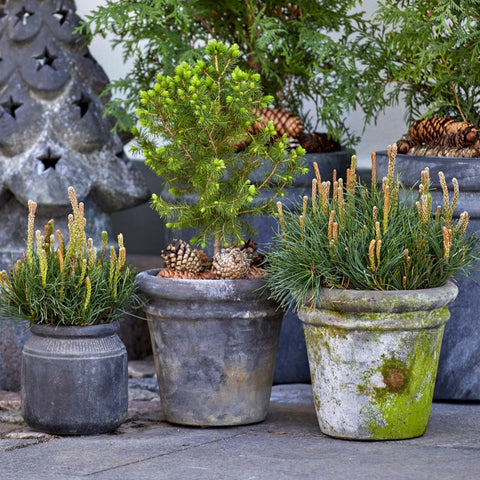 Grethe Choko Patinated Terracotta Pot