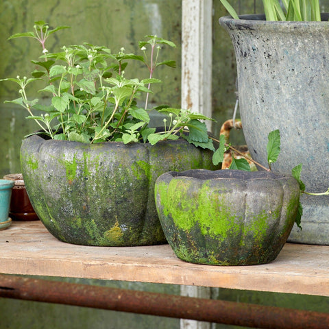 Gertrud Patinated Terracotta Pot