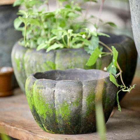 Gertrud Patinated Terracotta Pot