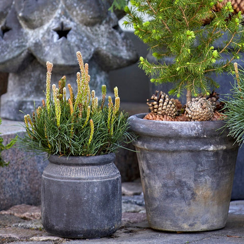 Henriette Choko Terracotta Pot