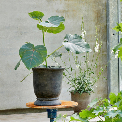 Berta Choko Patinated Terracotta Pot