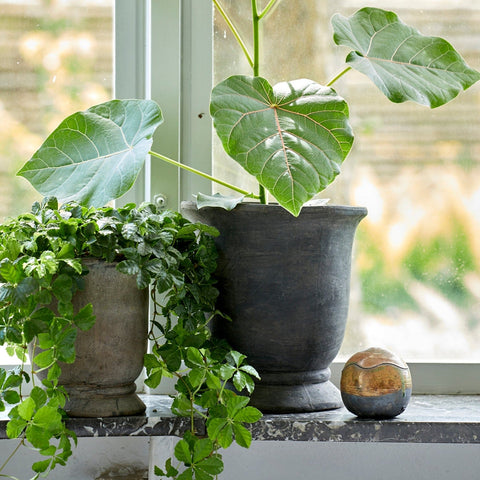 Berta Choko Patinated Terracotta Pot