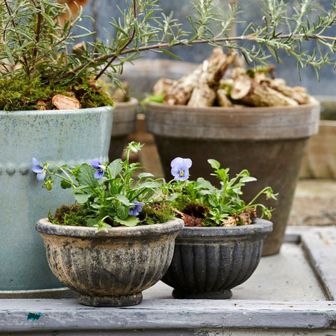 Sonja Choko Terracotta Pot