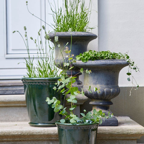 Tonja Choko Terracotta Pot