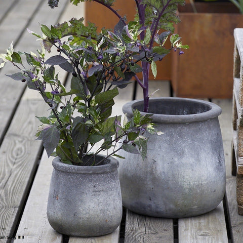 Nanna Choko Terracotta Pot