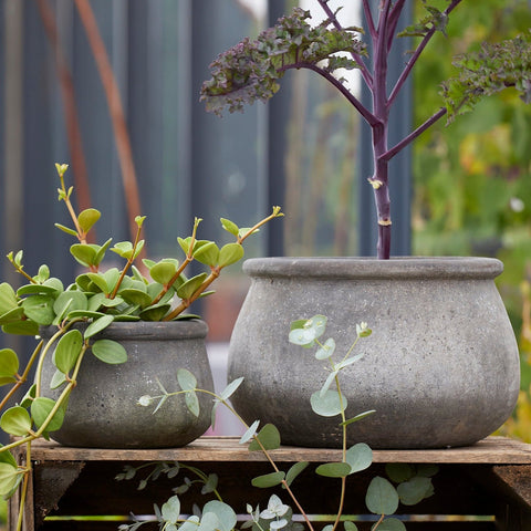 Dagmar Choko Terracotta Pot