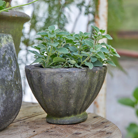 Frida Choko Patinated Terracotta Pot