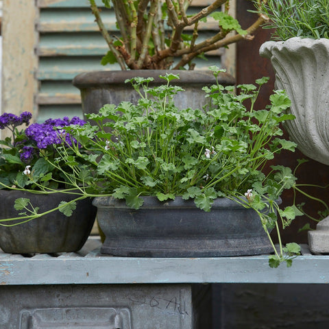 Erika Choko Patinated Terracotta Pot