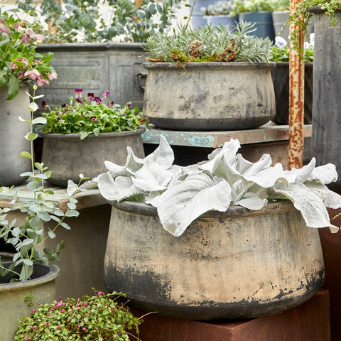 Jane Low Choko Patinated Terracotta Pot