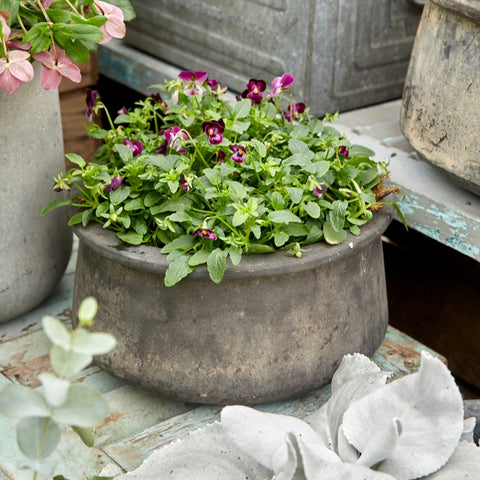 Jane Low Choko Patinated Terracotta Pot
