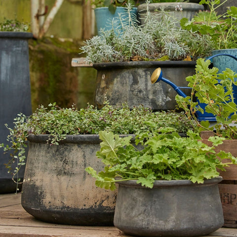 Jane Low Choko Patinated Terracotta Pot