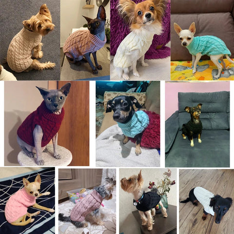 Sweaters for Small Medium Dogs Cats Clothes Winter Warm Pet Turtleneck Teddy Jacket