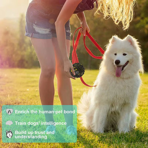 Interactive Dog Ball Squeaky Sound
