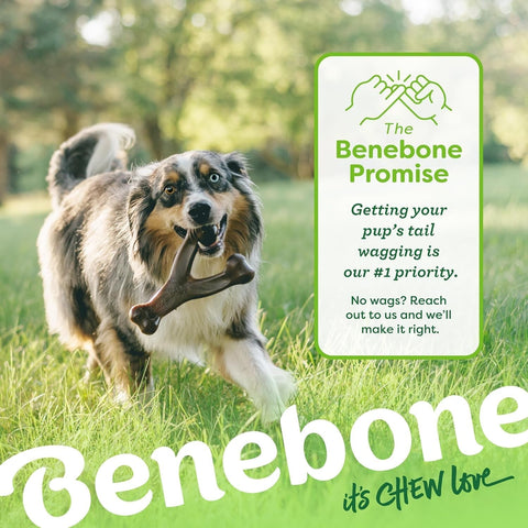 Durable Dog Chew Toy for Aggressive Chewers