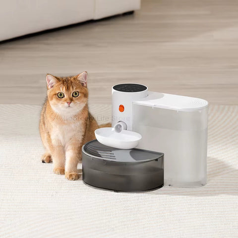 Cateby Automatic Cat Water Fountain Unplugged Pet Water Feeder