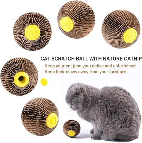Cats Refillable Scratcher Ball ,Kitty'S Faithful Playmate