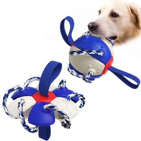 Frisbee for Dogs