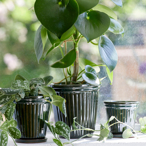 Birthe Dark Green Hand Glazed Pot