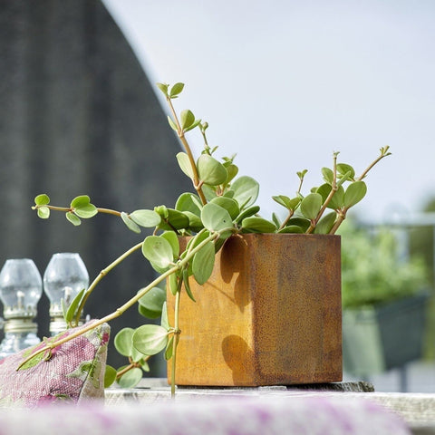 Ingrid Corten Steel Pot