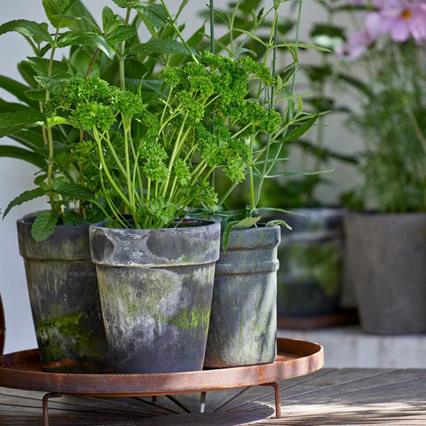 Ghita Corten Steel Tray