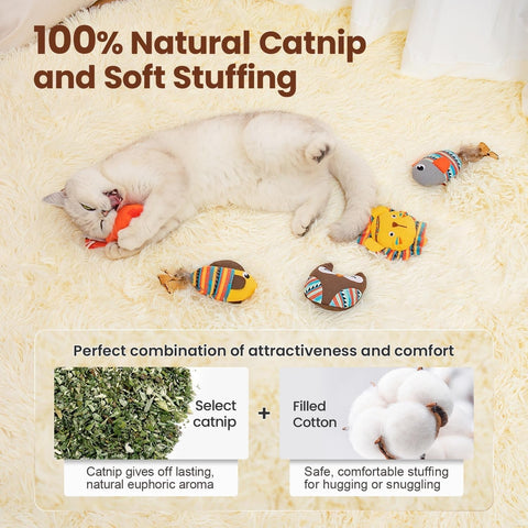 5 Pack Bite Resistant Catnip Toys, Interactive Cat Kicker Toys for Indoor Cats