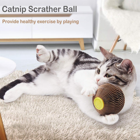 Cats Refillable Scratcher Ball ,Kitty'S Faithful Playmate