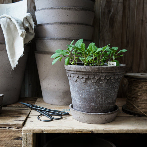 Københavner Castle Pot & Saucer