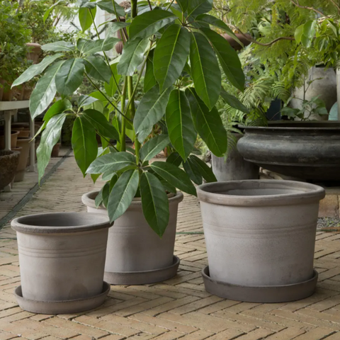 Galestro Pot & Saucer