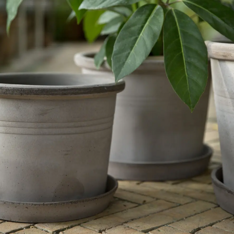 Galestro Pot & Saucer