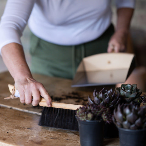 Dustpan and Hand Brush Set