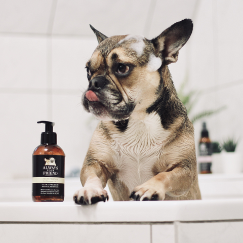 Fruit Friends – 2-in-1 Shampoo and Conditioner (250ml)