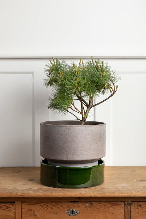 Hoff Collection Pot