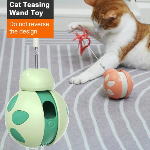 Beetle Shape Tumbler Cat Toy with Feeder