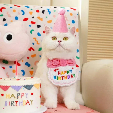 Adorable Dog & Cat Birthday Hat & Bandana Set