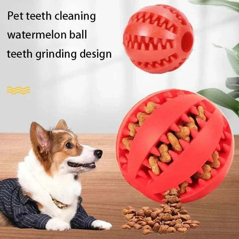 Dog treats toy Natural Rubber petsmart dog chews