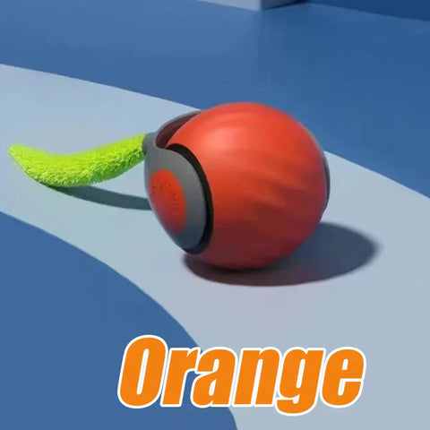 Interactive Pet Toys Ball Auto Electric Rolling Ball