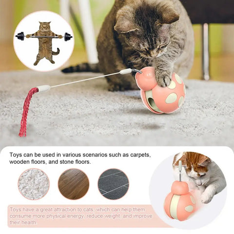 Beetle Shape Tumbler Cat Toy with Feeder