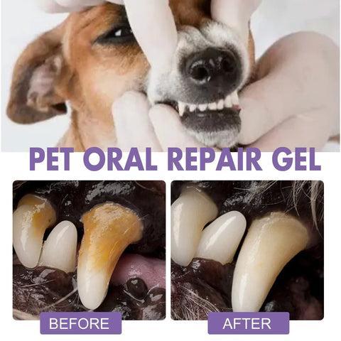 Dog Oral Cleaning Gel Tooth Stain Cleaner