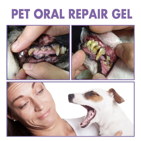 Dog Oral Cleaning Gel Tooth Stain Cleaner