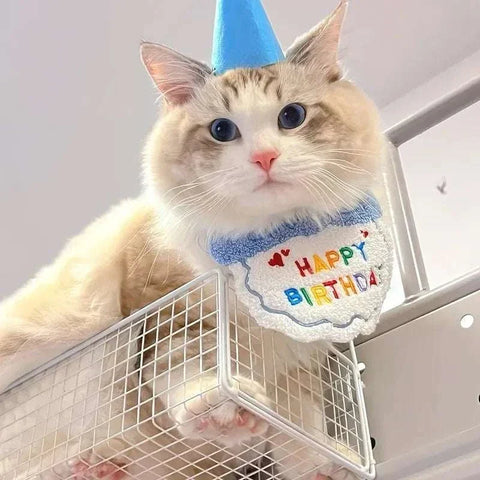 Adorable Dog & Cat Birthday Hat & Bandana Set