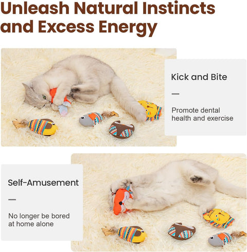 5 Pack Bite Resistant Catnip Toys, Interactive Cat Kicker Toys for Indoor Cats