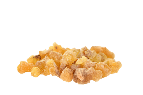 Boswellia Serrata Resin Extract 65% Boswellic-Acid