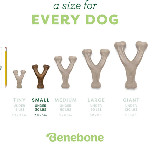 Durable Dog Chew Toy for Aggressive Chewers