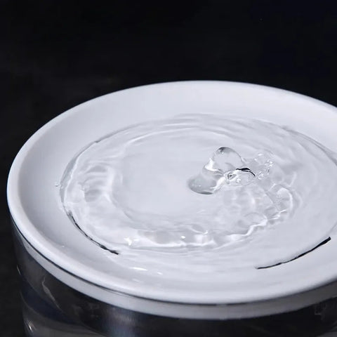 Automatic Circulating Pet Water Fountain