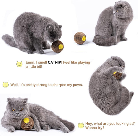 Cats Refillable Scratcher Ball ,Kitty'S Faithful Playmate