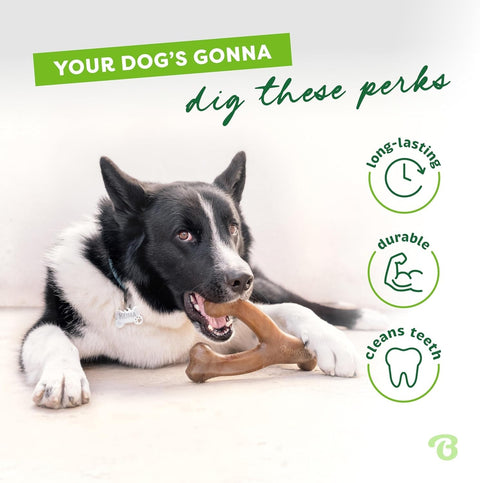 Durable Dog Chew Toy
